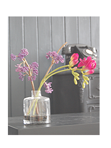 Fuscia in glass bottle